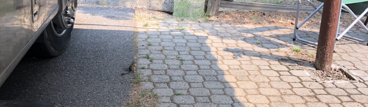 Emigrant Springs State Park