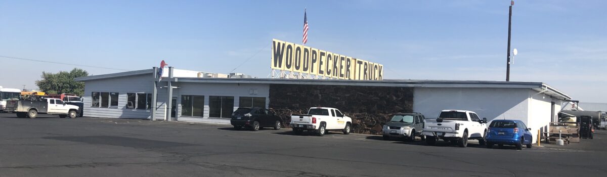 Woodpecker Alignment