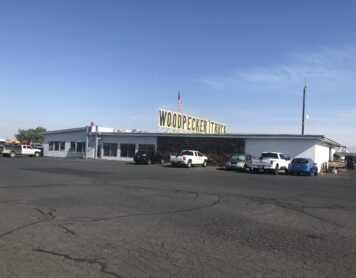 Woodpecker Alignment